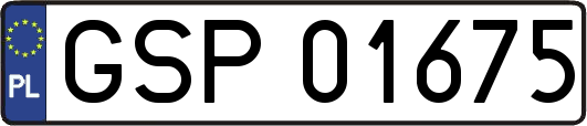 GSP01675