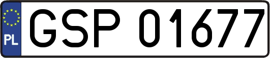 GSP01677