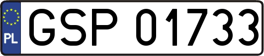 GSP01733