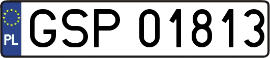 GSP01813