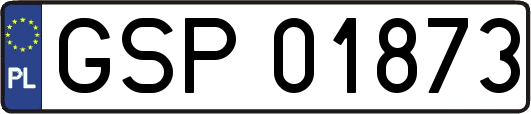 GSP01873