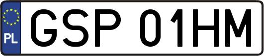 GSP01HM
