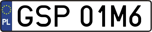 GSP01M6