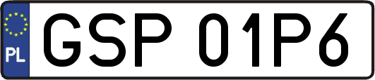 GSP01P6