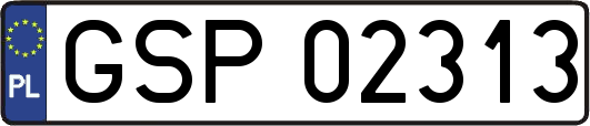 GSP02313