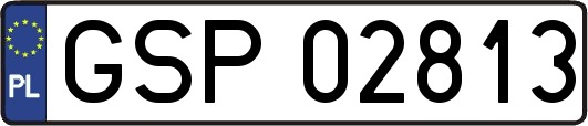 GSP02813