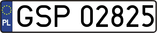 GSP02825
