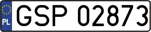 GSP02873