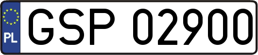 GSP02900
