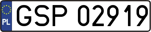 GSP02919