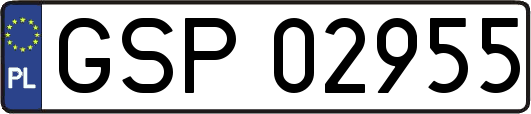 GSP02955