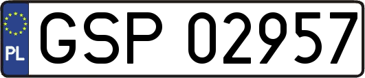 GSP02957