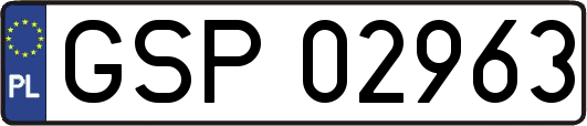 GSP02963