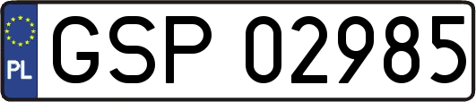 GSP02985