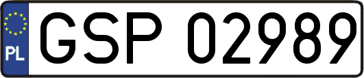 GSP02989