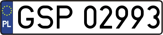 GSP02993