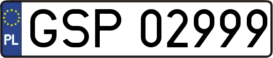 GSP02999