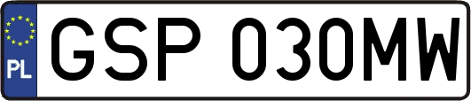 GSP030MW