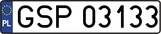 GSP03133