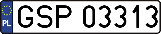 GSP03313