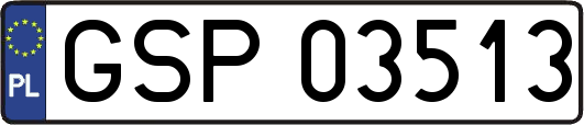 GSP03513