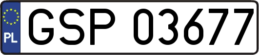 GSP03677