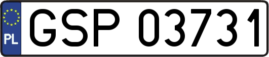 GSP03731