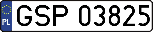 GSP03825