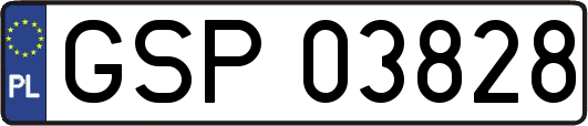 GSP03828
