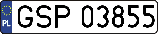 GSP03855