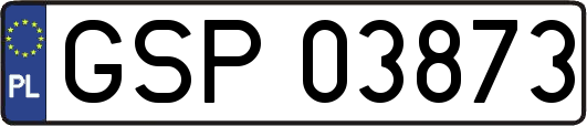 GSP03873