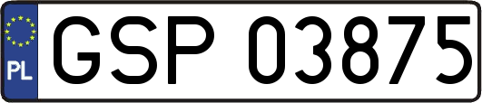 GSP03875
