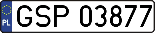 GSP03877