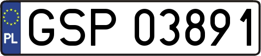 GSP03891