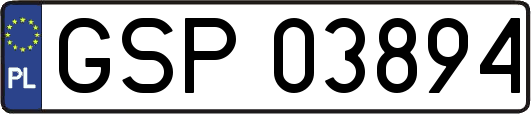GSP03894