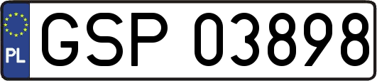 GSP03898