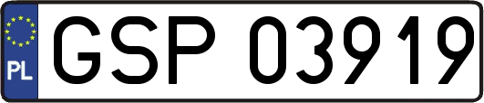 GSP03919