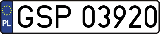 GSP03920