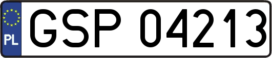 GSP04213