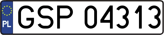 GSP04313