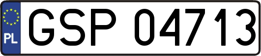 GSP04713