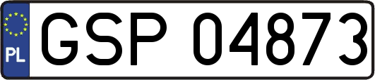 GSP04873