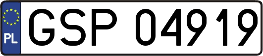 GSP04919