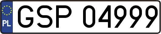GSP04999