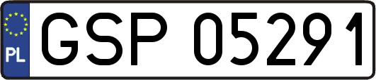 GSP05291