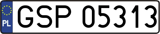 GSP05313