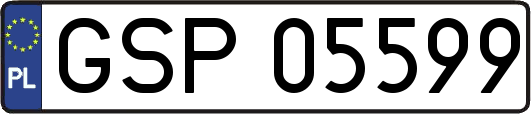 GSP05599