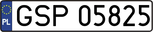 GSP05825