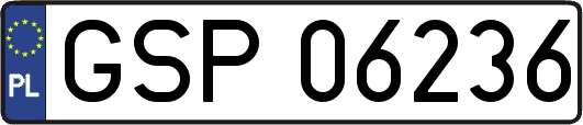 GSP06236