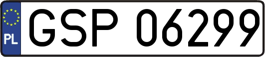GSP06299